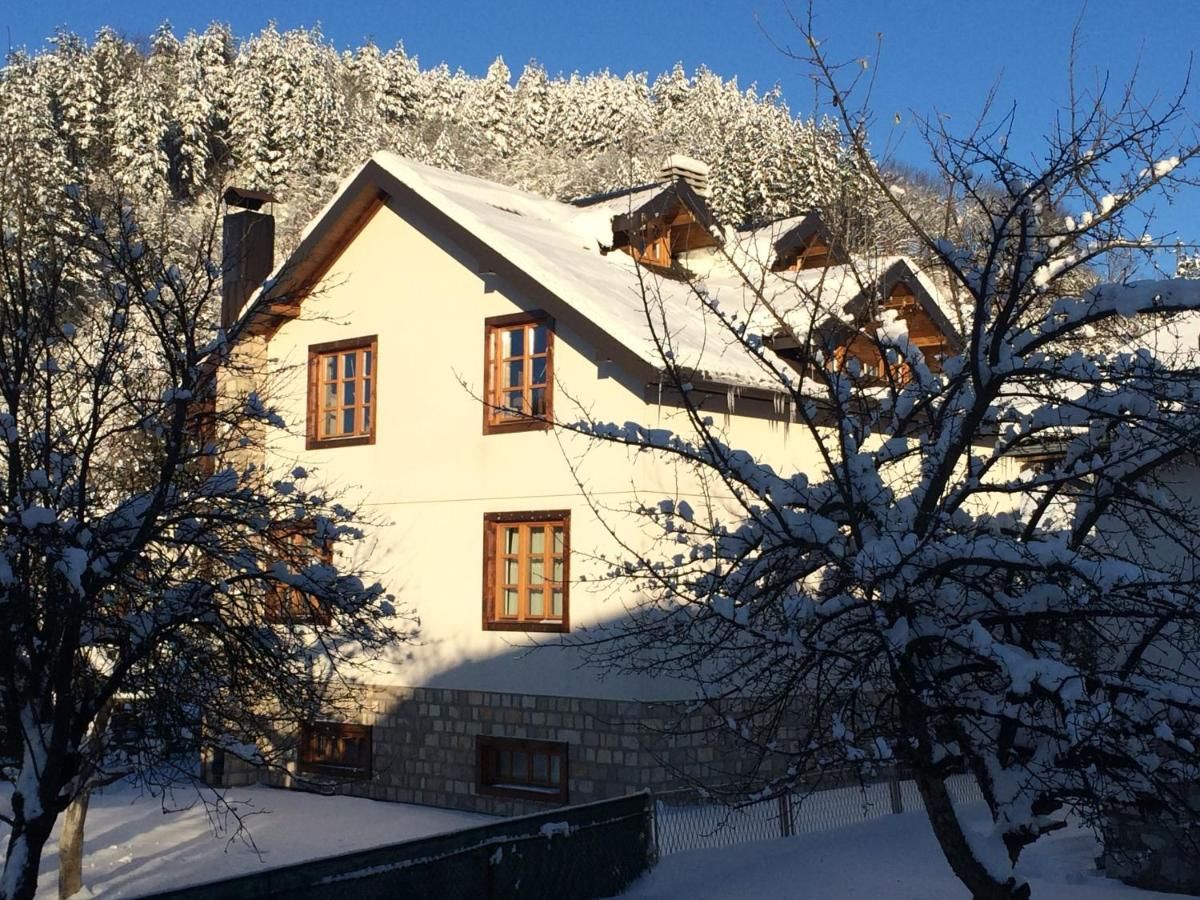Апартаменты Chalet Kolašin Колашин-17