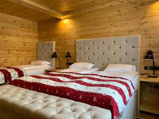 Апартаменты Chalet Kolašin Колашин Суперлюкс-1