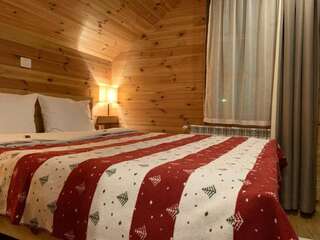 Апартаменты Chalet Kolašin Колашин Улучшенные апартаменты-26