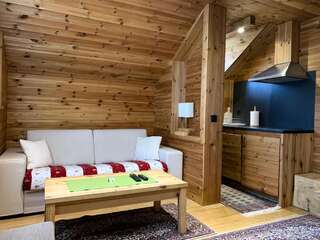Апартаменты Chalet Kolašin Колашин Апартаменты с видом на горы-2