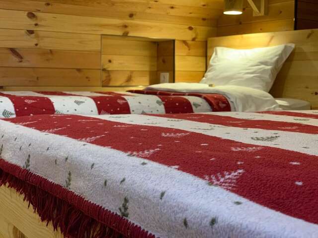 Апартаменты Chalet Kolašin Колашин-15
