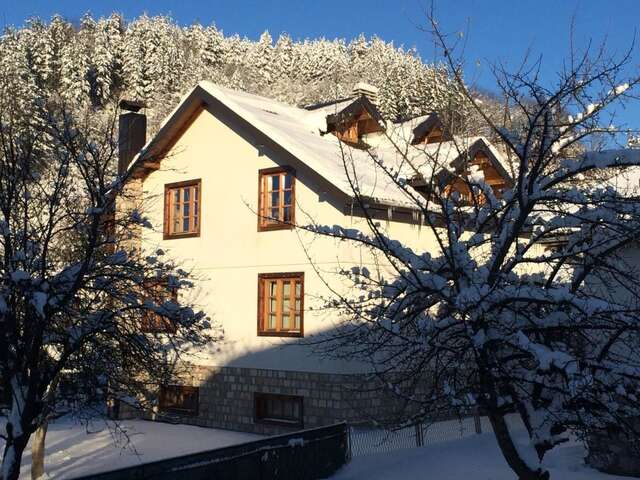 Апартаменты Chalet Kolašin Колашин-16