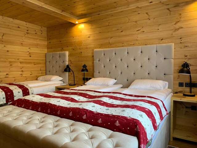 Апартаменты Chalet Kolašin Колашин-29